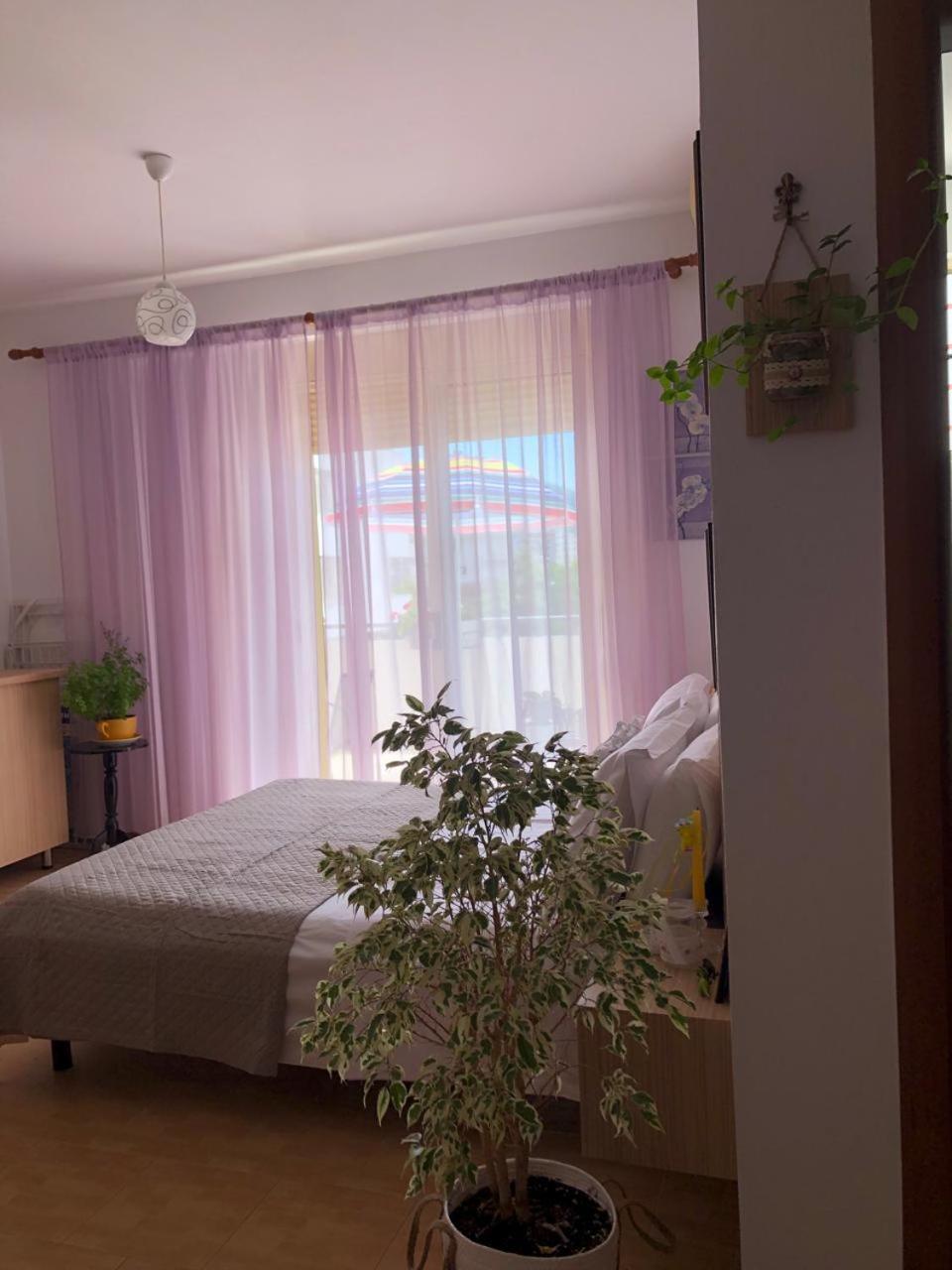 Studio Of Shpresa Vlorë Екстериор снимка